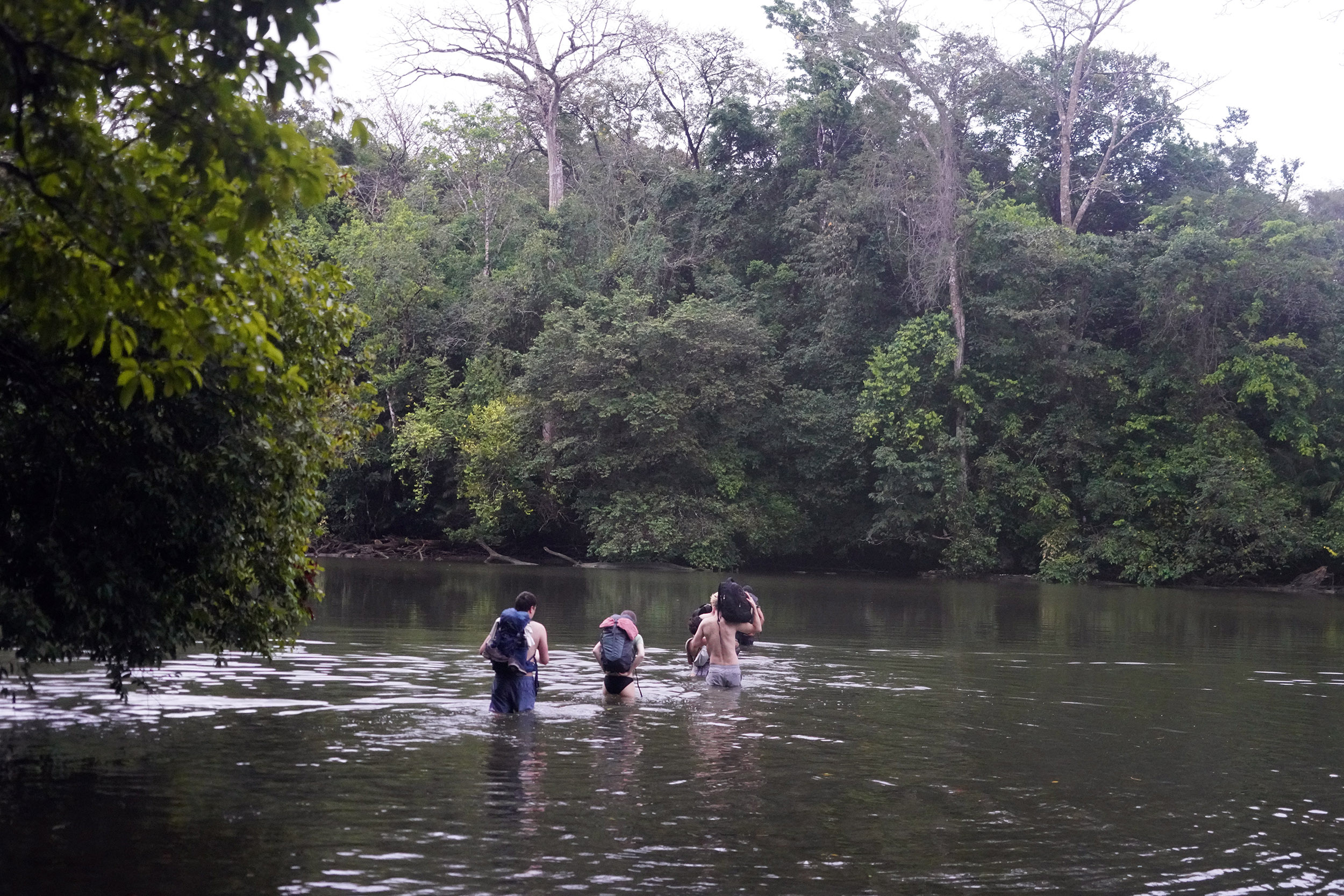 Costa Rica - Février 2025